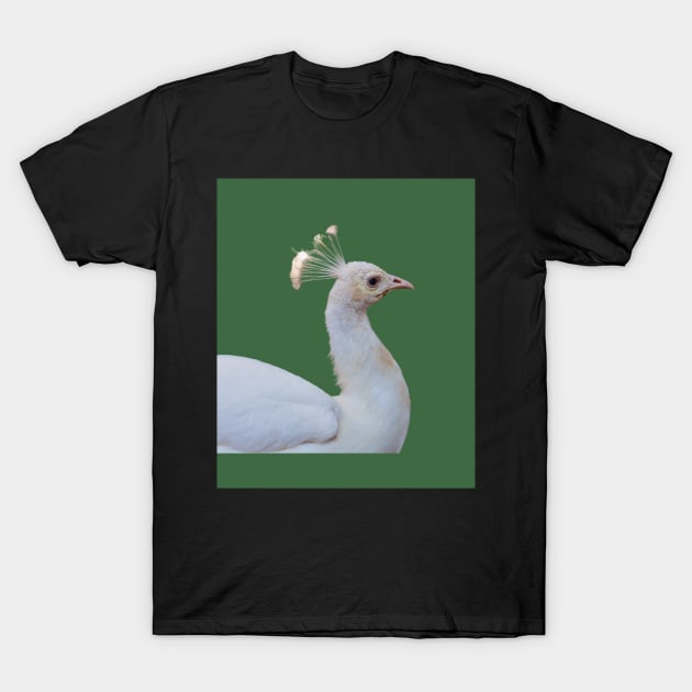 White peacock art T-Shirt by IOANNISSKEVAS